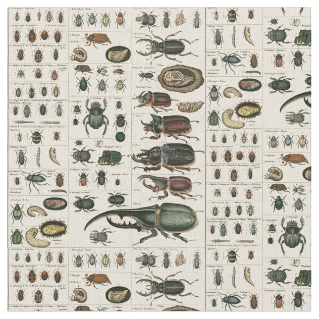 Vintage Käfer-Illustration Stoff (Nahaufnahme)