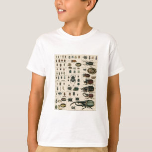 Vintage Käfer-Illustration T-Shirt