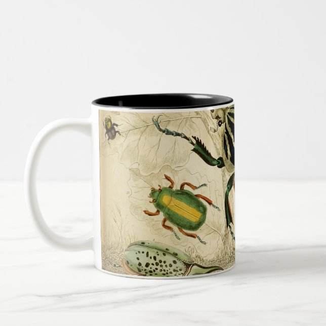 Vintage Käfer-Illustration Zweifarbige Tasse (Links)