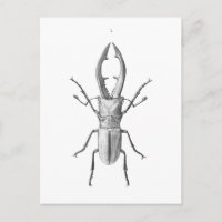 Vintage Käfer-Illustrationskarte