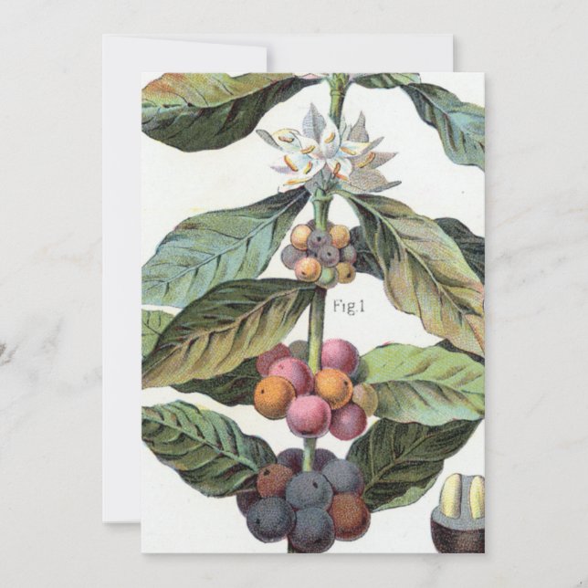 Vintage Kaffeebohnen Einladung (Vorderseite)