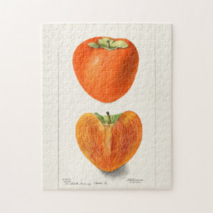Vintage-Kakis-Frucht-Aquarellmalerei