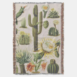 Vintage Kakteen-Illustration Decke