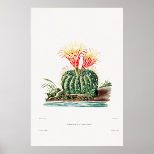 Vintage Kaktus-Illustration Poster
