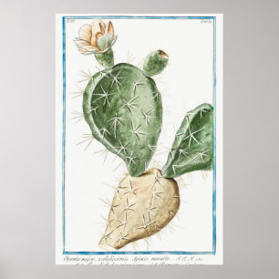 Vintage Kaktus-Illustration Poster