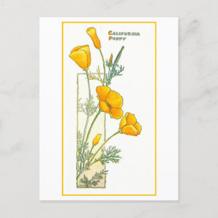 Vintage kalifornische Gelbe Mohnkarte Postkarte