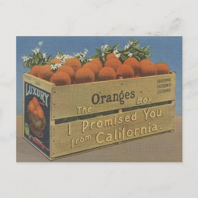 Vintage kalifornische Orangen Postkarte (Vorderseite)