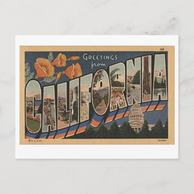 Vintage kalifornische Postkarte (Vorderseite)