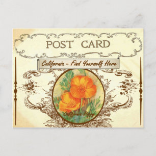 Vintage kalifornische Staat Blume Postkarte