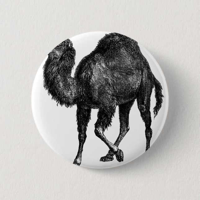 Vintage Kamel Button (Vorderseite)