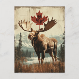 Vintage Kanada Elch Mit Kanadischem Ahornblatt Postkarte