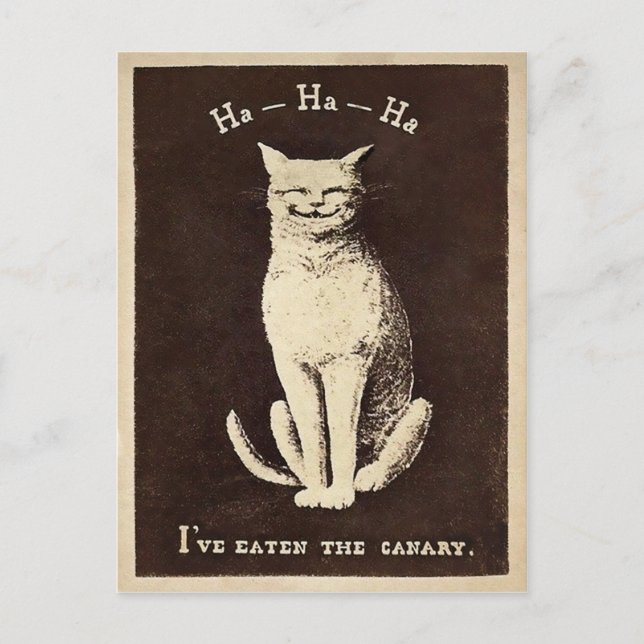 Vintage Kanarienkatze Postkarte (Vorderseite)