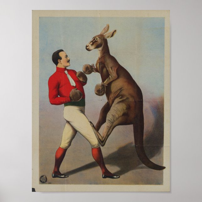 Vintage Kangaroo Boxing Poster (Vorne)