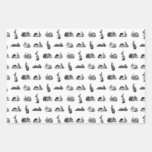 Vintage Kaninchen Bunnies Art CUSTOM HINTERGRUNDFA Geschenkpapier Set