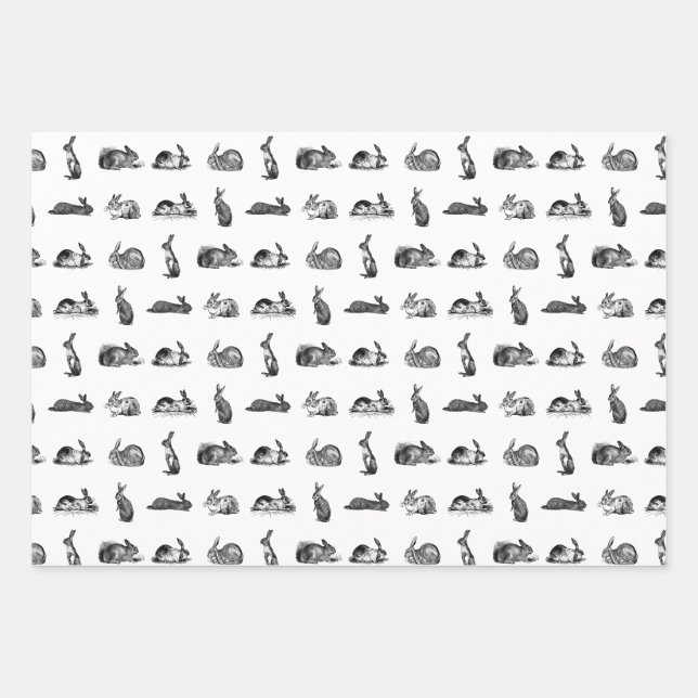 Vintage Kaninchen Bunnies Art CUSTOM HINTERGRUNDFA Geschenkpapier Set (Vorderseite)