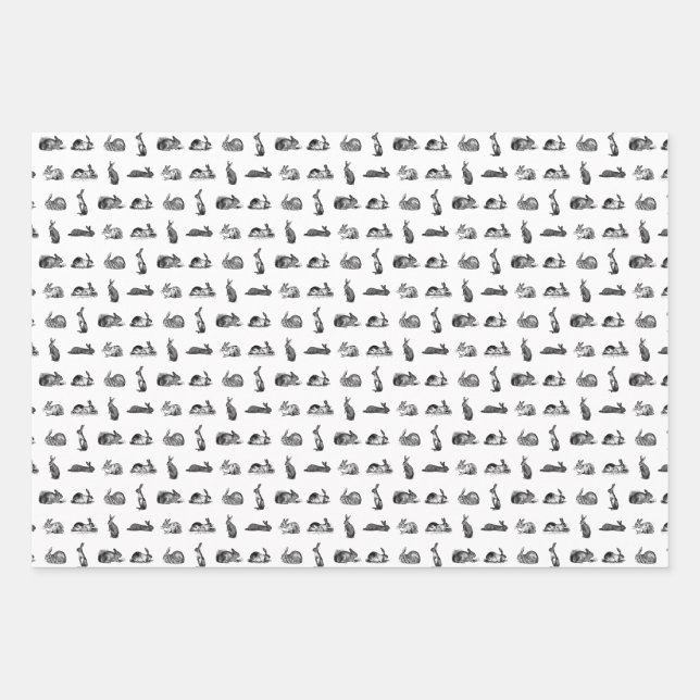 Vintage Kaninchen Bunnies Art CUSTOM HINTERGRUNDFA Geschenkpapier Set (Vorderseite)