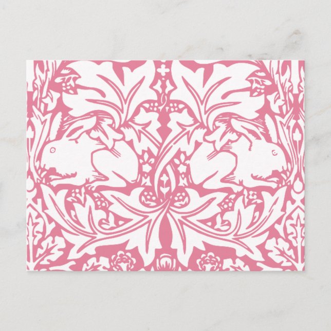 Vintage Kaninchen Postkarte (Vorderseite)