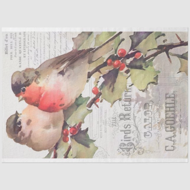 Vintage Kardinal mit Ephemera-Dekoupage-Thema P Seidenpapier (Vorderseite)