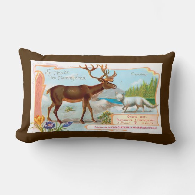 Vintage Karibik (Rentier) und Arktis Fox Lendenkissen (Vorderseite)