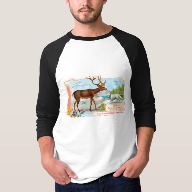 Vintage Karibik (Rentier) und Arktis Fox T-Shirt (Vorderseite)