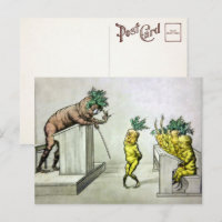 Vintage Karotten in der Schulpostkarte 