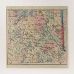 Vintage Karte der Region NH-Seen (1890)