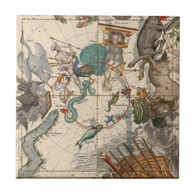 Vintage Karte des Südpols Fliese (Vorderseite)