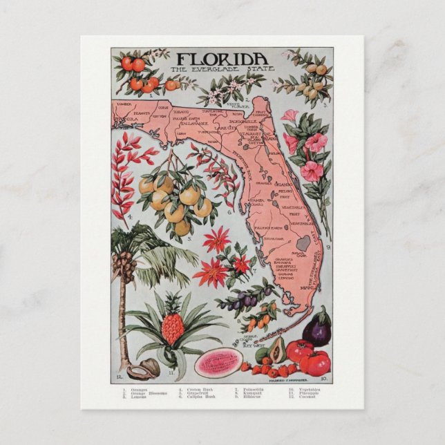 Vintage Karte Florida (Vorderseite)