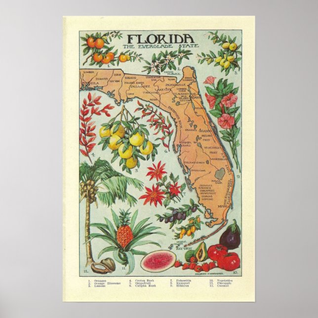 Vintage Karte Florida - Flora Poster (Vorne)