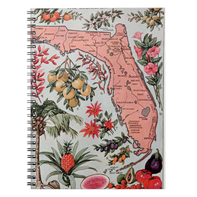 Vintage Karte Florida Notizblock (Vorderseite)