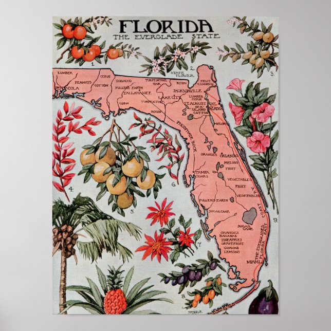 Vintage Karte Florida Poster (Vorne)