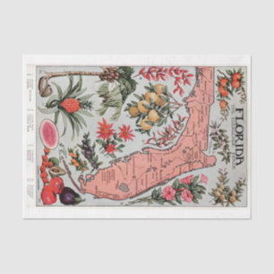 Vintage Karte Florida Seidenpapier