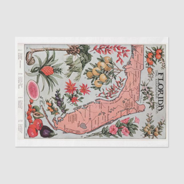 Vintage Karte Florida Seidenpapier (Vorderseite)