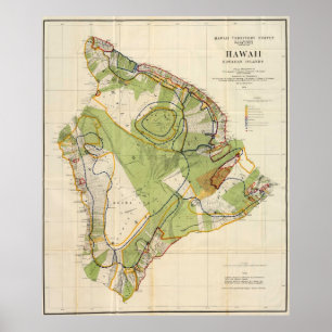 Vintage Karte von Hawaii Island (1906) Poster