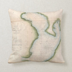 Vintage Karte von Küstentampa bay (1855) Kissen