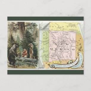 Vintage-Karte von New Mexico Postkarte