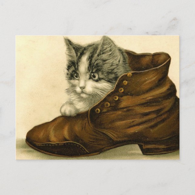 vintage Kätzchen in Schuh Postkarte (Vorderseite)