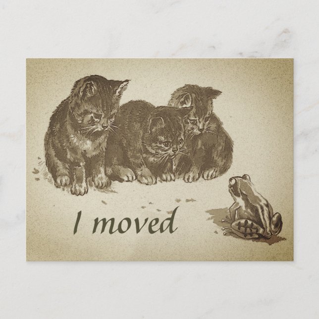 Vintage Kätzchen und Frosch I übertragen Adressänd Postkarte (Vorderseite)