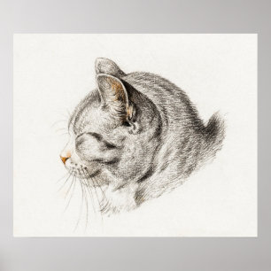 Vintage Katze-Illustration Poster