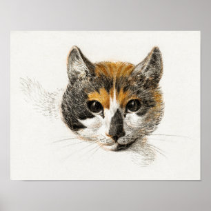 Vintage Katze-Illustration Poster