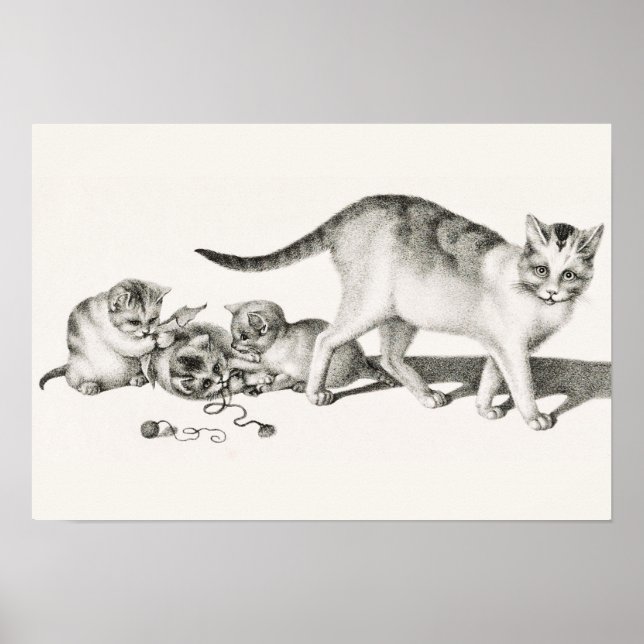 Vintage Katze-Illustration Poster (Vorne)
