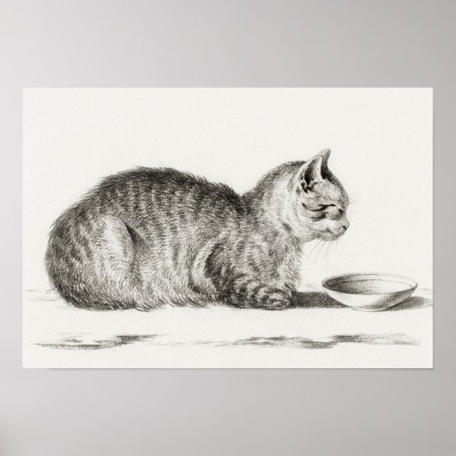 Vintage Katze-Illustration Poster (Vorne)