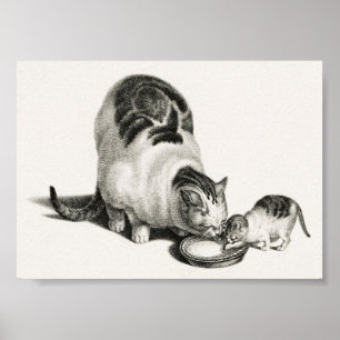 Vintage Katze-Illustration Poster