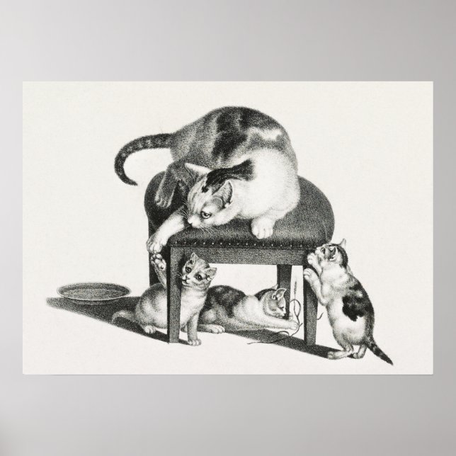 Vintage Katze-Illustration Poster (Vorne)