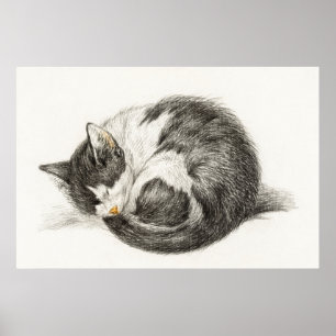 Vintage Katze-Illustration Poster