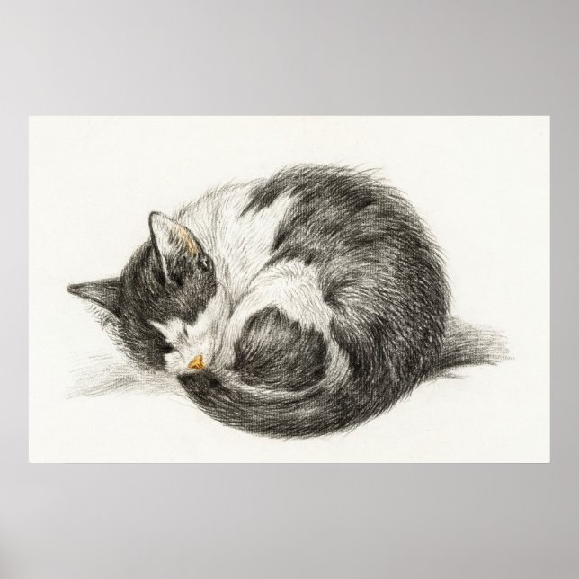 Vintage Katze-Illustration Poster (Vorne)