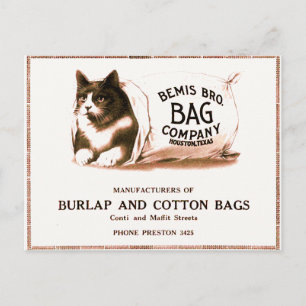 Vintage Katze in Tasche Postkarte