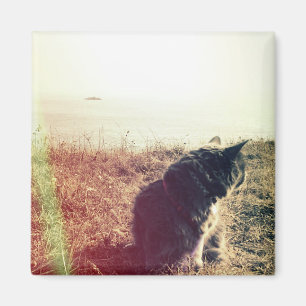 Vintage-Katze-Magnet Magnet