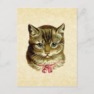 Vintage Katze mit rosa Bow Postkarte