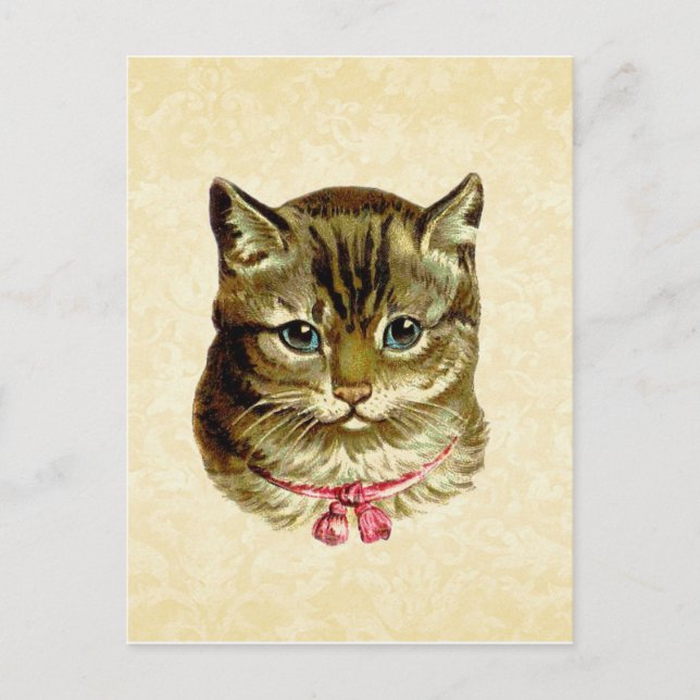 Vintage Katze mit rosa Bow Postkarte (Vorderseite)